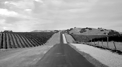 Winery Road Interpretation