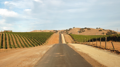 Winery Road